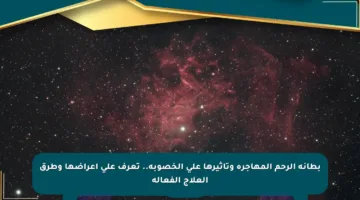 بطانة الرحم المهاجرة وتأثيرها على الخصوبة.. تعرف على أعراضها وطرق العلاج الفعالة